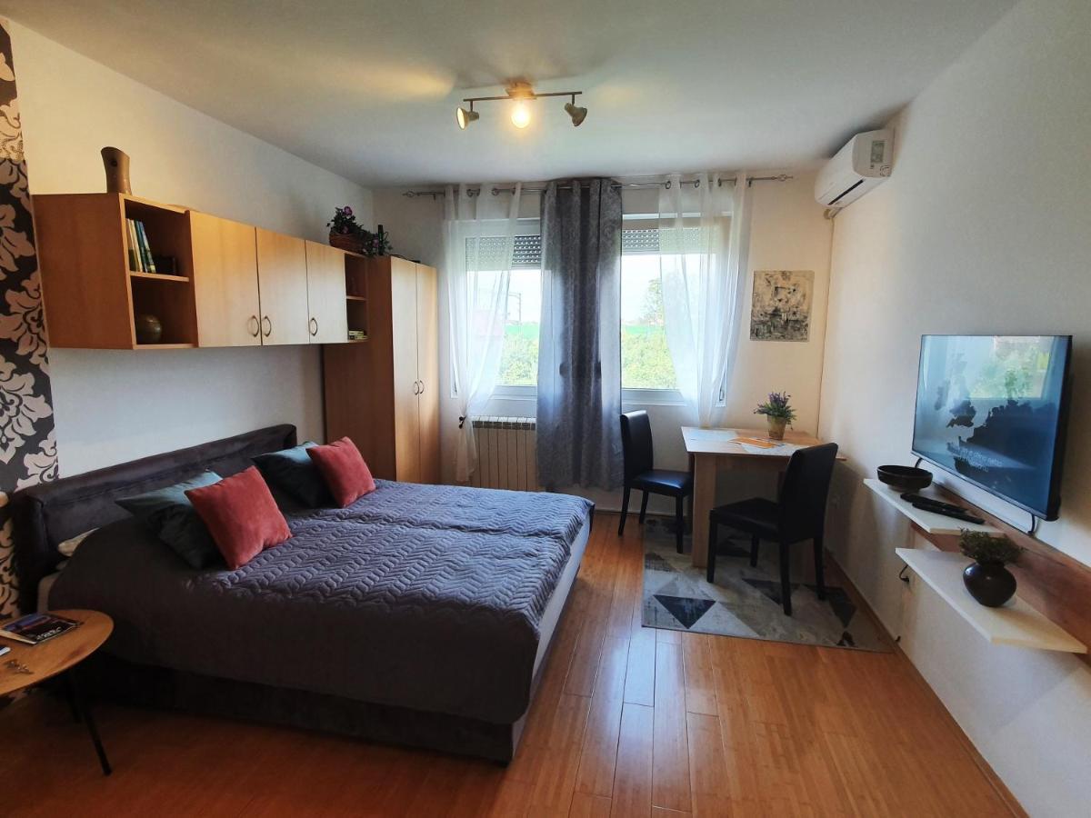 Apartman 64 - Besplatan Parking Za Goste Novi Sad Bagian luar foto