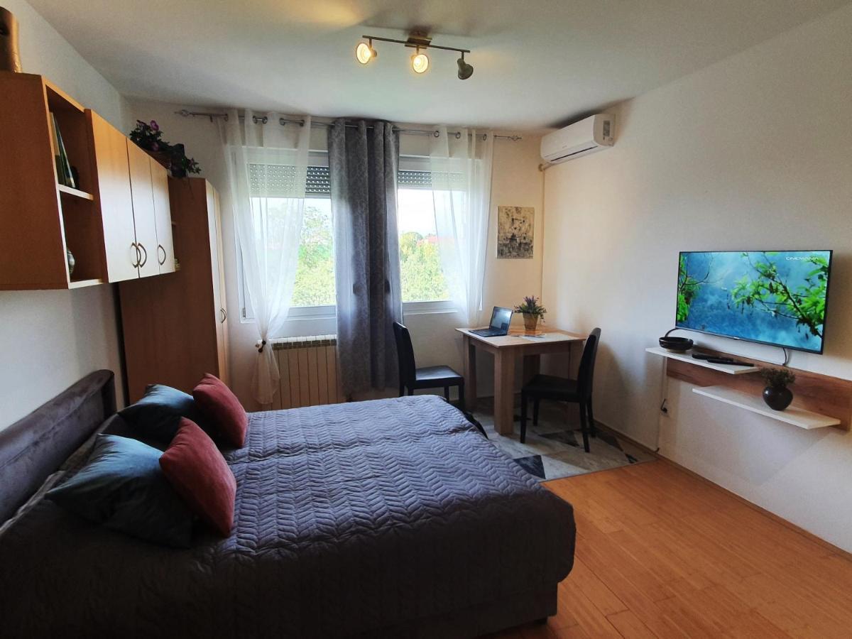 Apartman 64 - Besplatan Parking Za Goste Novi Sad Bagian luar foto